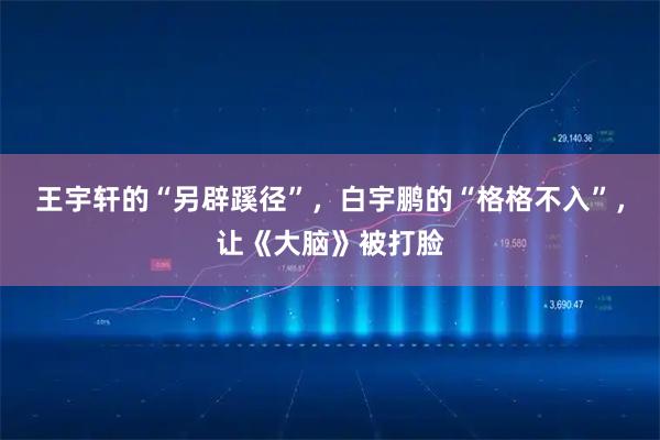 王宇轩的“另辟蹊径”，白宇鹏的“格格不入”，让《大脑》被打脸