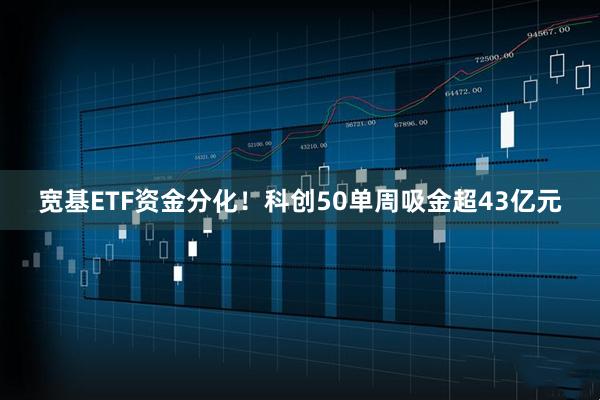 宽基ETF资金分化！科创50单周吸金超43亿元