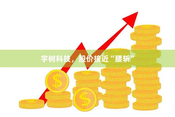 宇树科技，股价接近“腰斩”